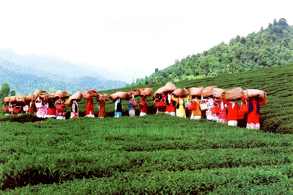 Women  in Gilan